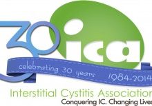 ICA30-e1437499345836