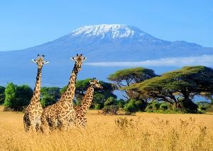 Mount-Kilimanjaro