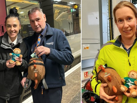 Toy monkey reunited with three-year-old owner after 600-mile train journey