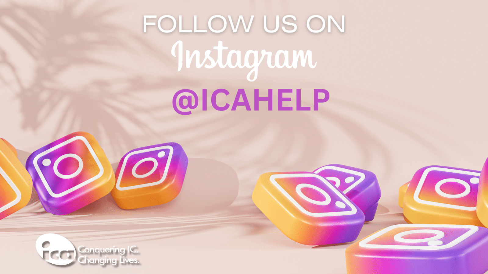 IG Promotion (Twitter Post)